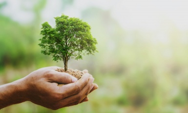 Veille Cetim : Outils de mesure des impacts des industries sur la biodiversité