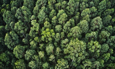 Note de veille environnement Produits - Septembre 2024